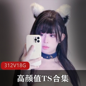 TS高颜值露脸合集：312个视频，18.4G，TS李智贤等众美女，下载收藏！